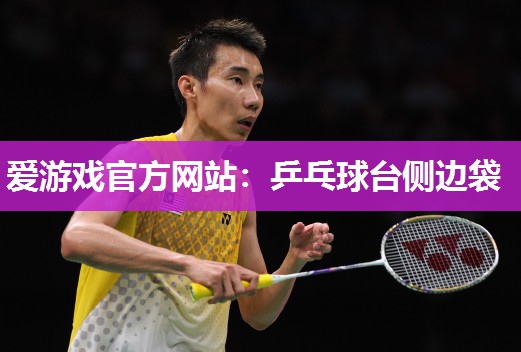 爱游戏官方网站：乒乓球台侧边袋