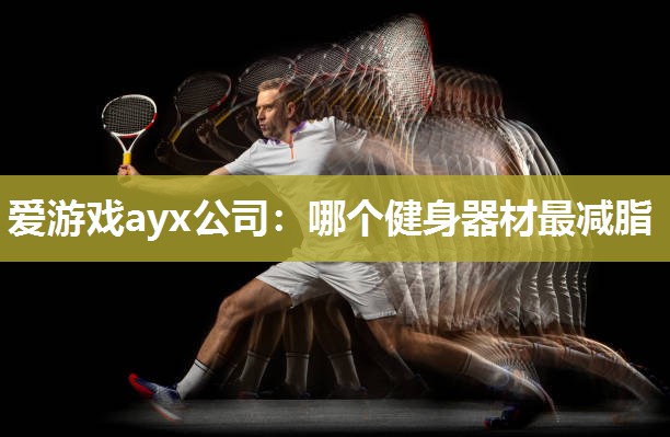 爱游戏ayx公司：哪个健身器材最减脂