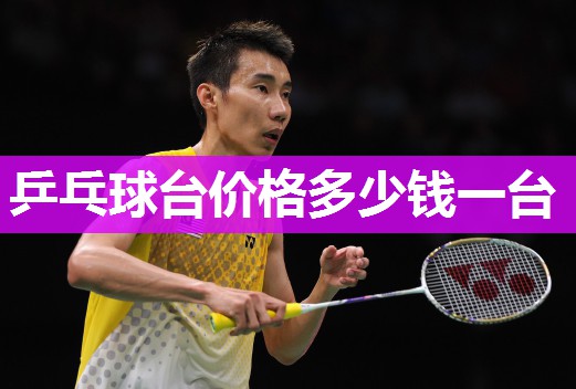 乒乓球台价格多少钱一台