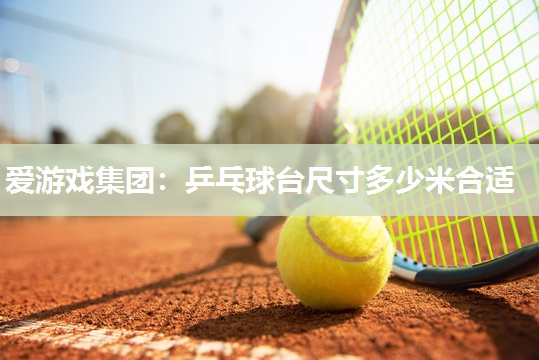 爱游戏集团：乒乓球台尺寸多少米合适