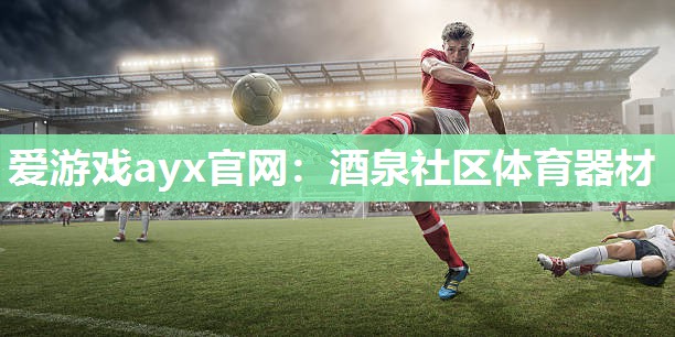 爱游戏ayx官网：酒泉社区体育器材