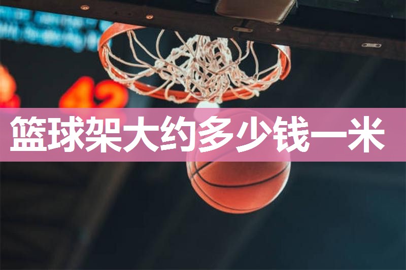 篮球架大约多少钱一米