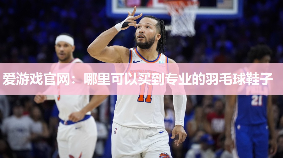 哪里可以买到专业的羽毛球鞋子