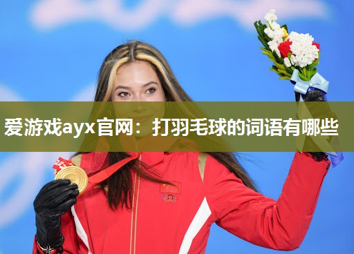 打羽毛球的词语有哪些
