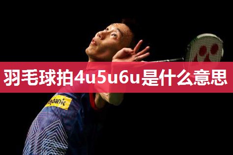 羽毛球拍4u5u6u是什么意思