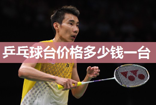 乒乓球台价格多少钱一台