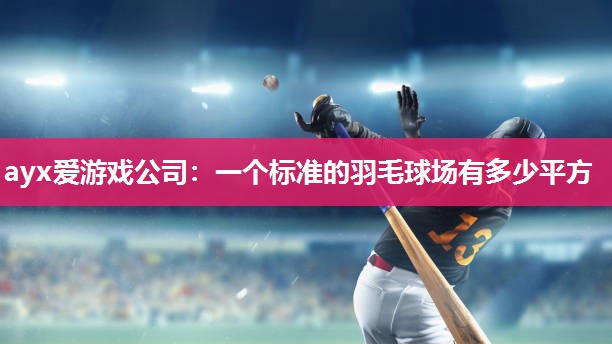 一个标准的羽毛球场有多少平方