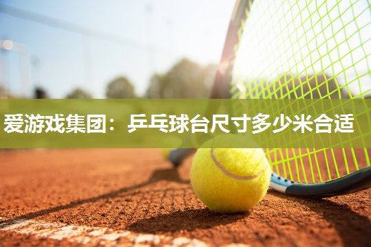 乒乓球台尺寸多少米合适
