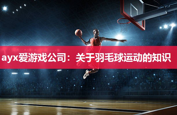 关于羽毛球运动的知识