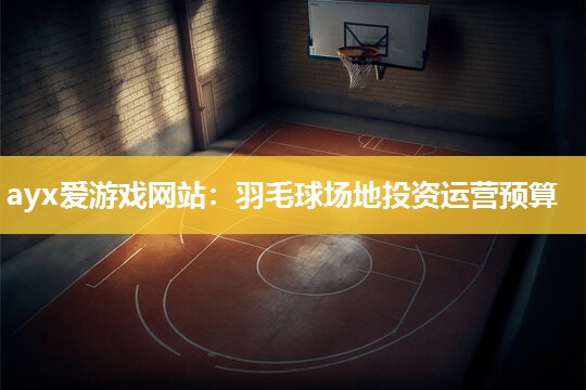 羽毛球场地投资运营预算