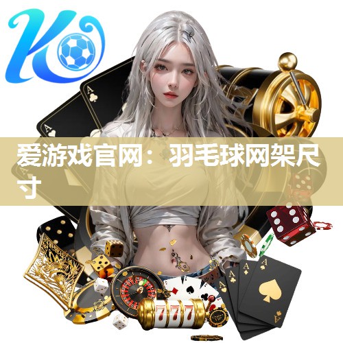 羽毛球网架尺寸
