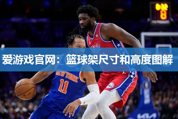 篮球架尺寸和高度图解